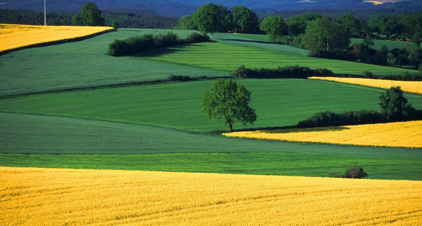 #slidecaption1 農地を売りたい・転用したい